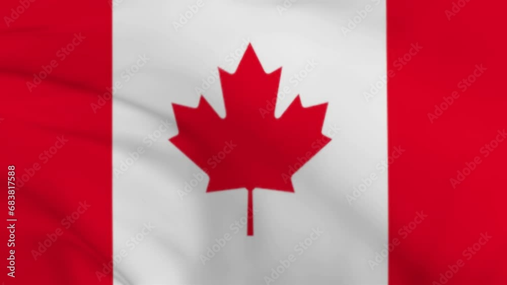 Canada flag. Canada Flag waving with high quality texture in 4K National Flag. Canada flag. Canada Flag waving with high quality texture in 4K National Flag.
