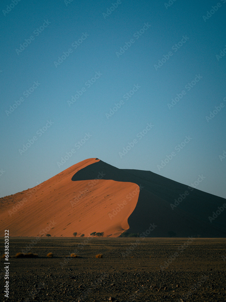 Sossusvlei, desert du Namib, Deadvlei