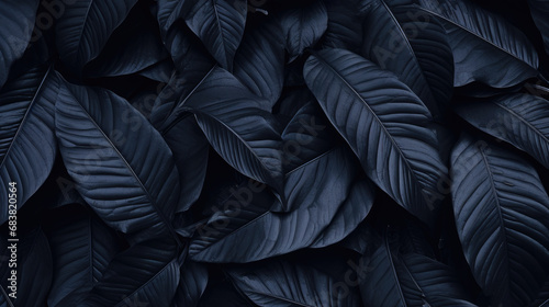 Textured abstract black leaves create a dark and tropical backdrop.