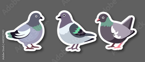 Set vector funny cartoon pigeons illustration. Geometric flat style. Pigeons sticker collection. Pigeons collection. cartoon character