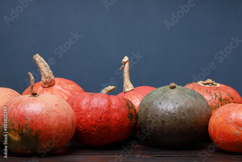 Thanksgiving colorful pumpkins on dark wooden table side view with dark blue wall background. October, November holiday, harvest season, welcome fall celebration. Festive template  with copy space
