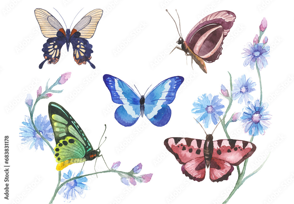 Vector illustration of watercolor butterflies isolated on white ...