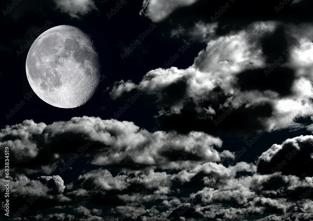 Fototapeta premium The moon in the night sky