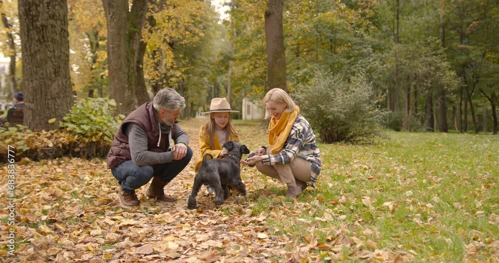 Grandparents and kid with their pet walking in the autumn park Grandparents and kid with their pet walking in the autumn park