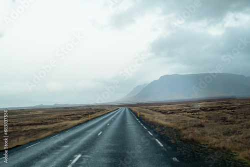 Road in Iceland © Irina Danilova