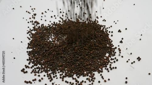 Black pepper falling on white background photo