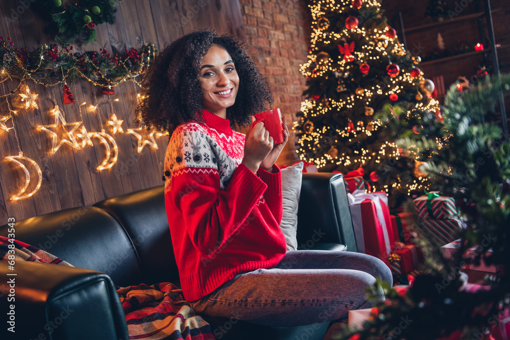Fototapeta premium Photo of positive lovely girl sitting couch hold hot chocolate mug peaceful new year magic decor garland house indoors
