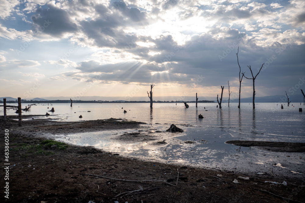 Sunset at Lake Naivasha with dead trees Sunset at Lake Naivasha with dead trees