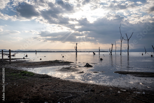 Sunset at Lake Naivasha with dead trees