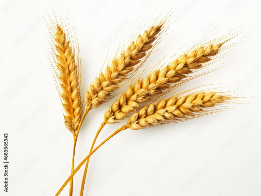 Discover the Pure Elegance of Golden Wheat Ears: A Mesmerizing Still-Life Study Generative AI