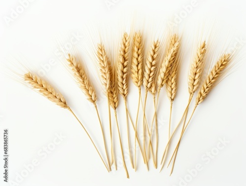 Uncover the Bountiful Beauty: An Intimate Close-Up of 5 Wheat Ears on Pure White Background Generative AI