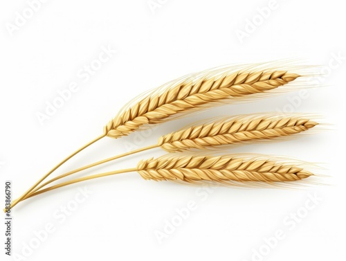 Unveiling the Golden Glory: The Splendid Wheat Ear Against a Stark White Background Generative AI