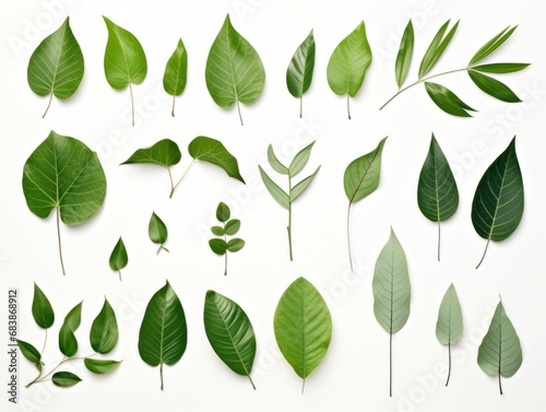 Unleashing Nature's Palette: Unique Styles of Stunning Green Leaves Generative AI