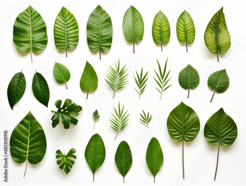 Discover Nature's Beauty: Unique Styles of Green Leaves Explored Generative AI