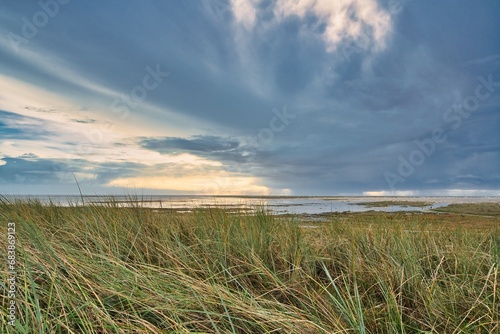 Amrum Insel Natur Ruhe Idyll Schleswig-Holstein 