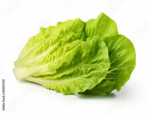 Stunning Close-up: Fresh Green Lettuce - The Star of Healthy Living Generative AI