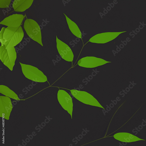 Deep rich background with monstera leaves. Juicy green leaves on dark background.Template,background,wallpaper with monstera leaves