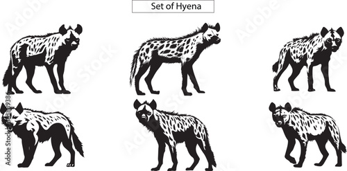illustration of hyena animal, isolated on white