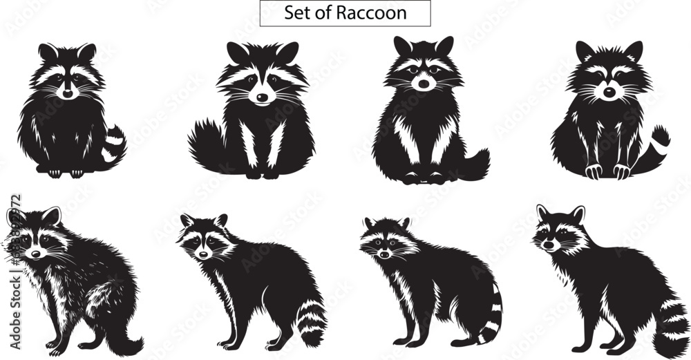 set of raccoon silhouettes