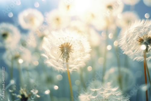 Macro image featuring abstract dandelion seeds in mid-air, creating a dreamlike and whimsical botanical landscape.