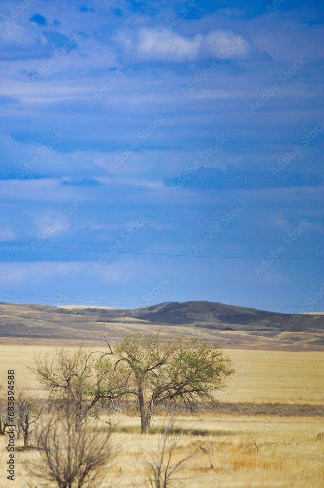 prairie, plain, desert. Mesmerizing hues transform a desert landscape into a mesmerizing masterpiece Nature AtIts Finest