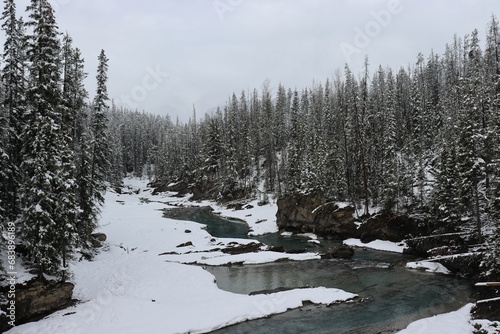 a creek surrounded by snow covered evergreen trees on a cloudy day