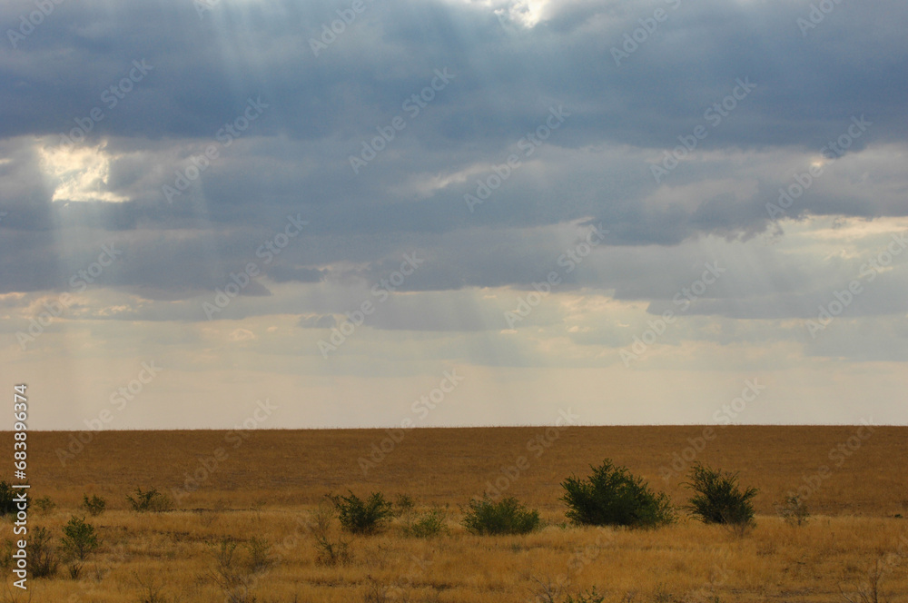prairie, plain, desert. A serene oasis in the arid desert Nature's Solitude