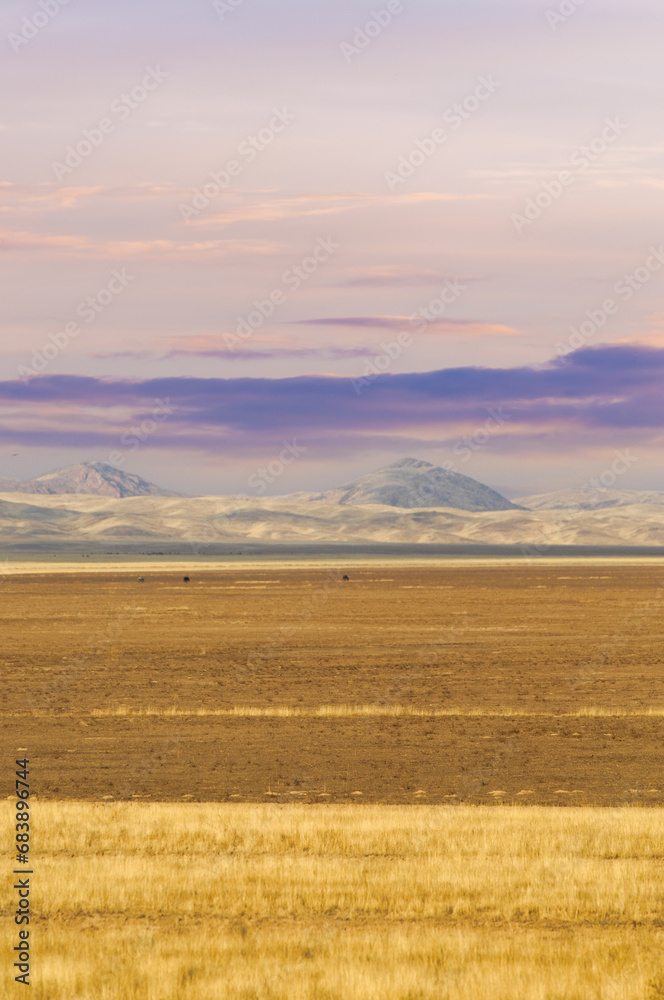 Steppe, prairie, plain, pampa. A mesmerizing moment when the sun bids farewell to the barren desert, casting a warm light that seems to reflect a lonely soul waiting for solace. Sunset Serenade