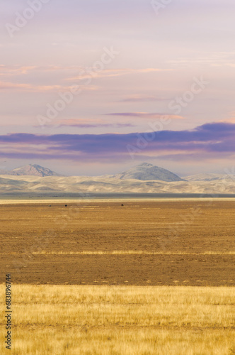 Steppe  prairie  plain  pampa. A mesmerizing moment when the sun bids farewell to the barren desert  casting a warm light that seems to reflect a lonely soul waiting for solace. Sunset Serenade