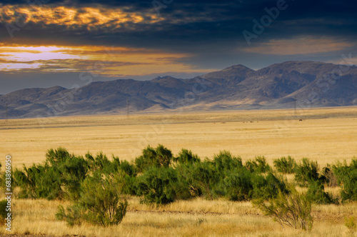 Steppe, prairie The sky sparkles with fiery hues as the sun dips below the horizon, leaving the desolate desert to face another night of isolation. A vivid reminder of the ebbs and flows of life.