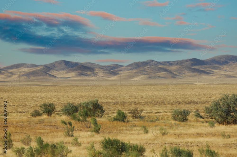 Steppe, prairie, As the sun sets, it casts a golden light on a stunning desert landscape framed by majestic mountains. Pure magic! Sunset Splendor Mountain Majesty