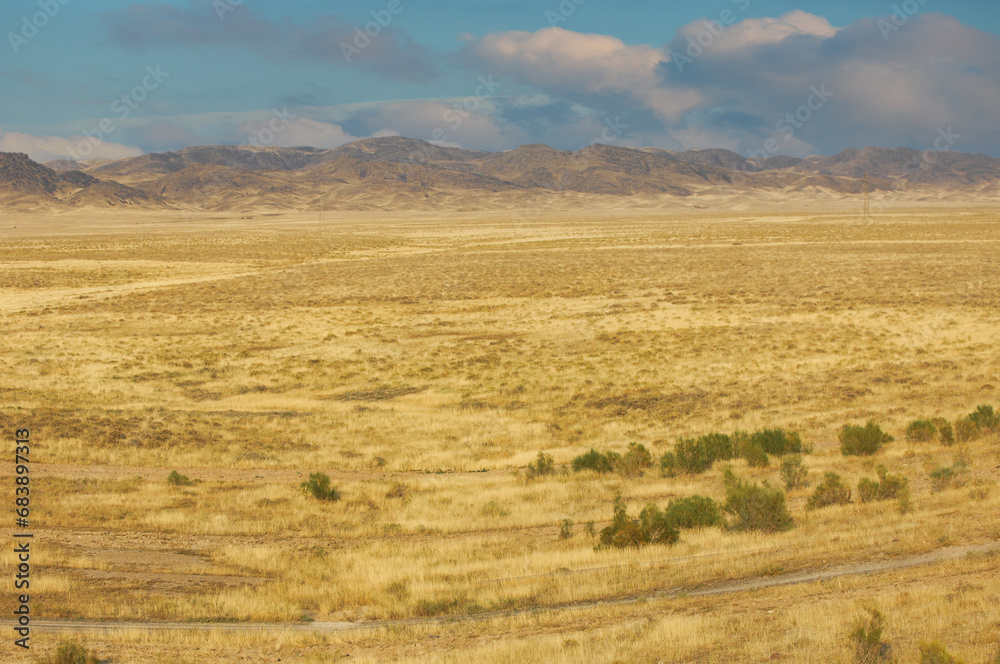 Steppe, prairie, Find solace in the embrace of nature, where the fiery desert landscape blends seamlessly with the rugged beauty of the distant mountains Desert Wonderland