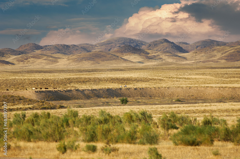 Steppe, prairie, plain, pampa. Beautiful sunset sky. Channel your inner explorer to this desert oasis surrounded by magnificent mountains Wilderness Escape