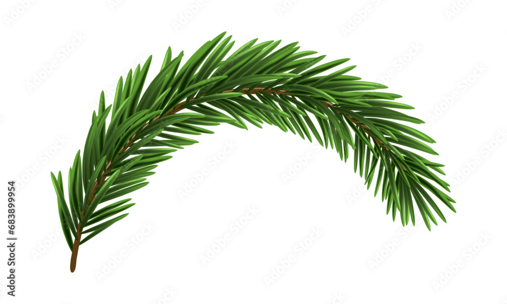 Green Christmas Fir Branch