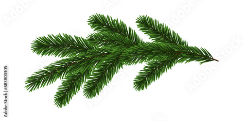 Green Christmas Fir Branch photo