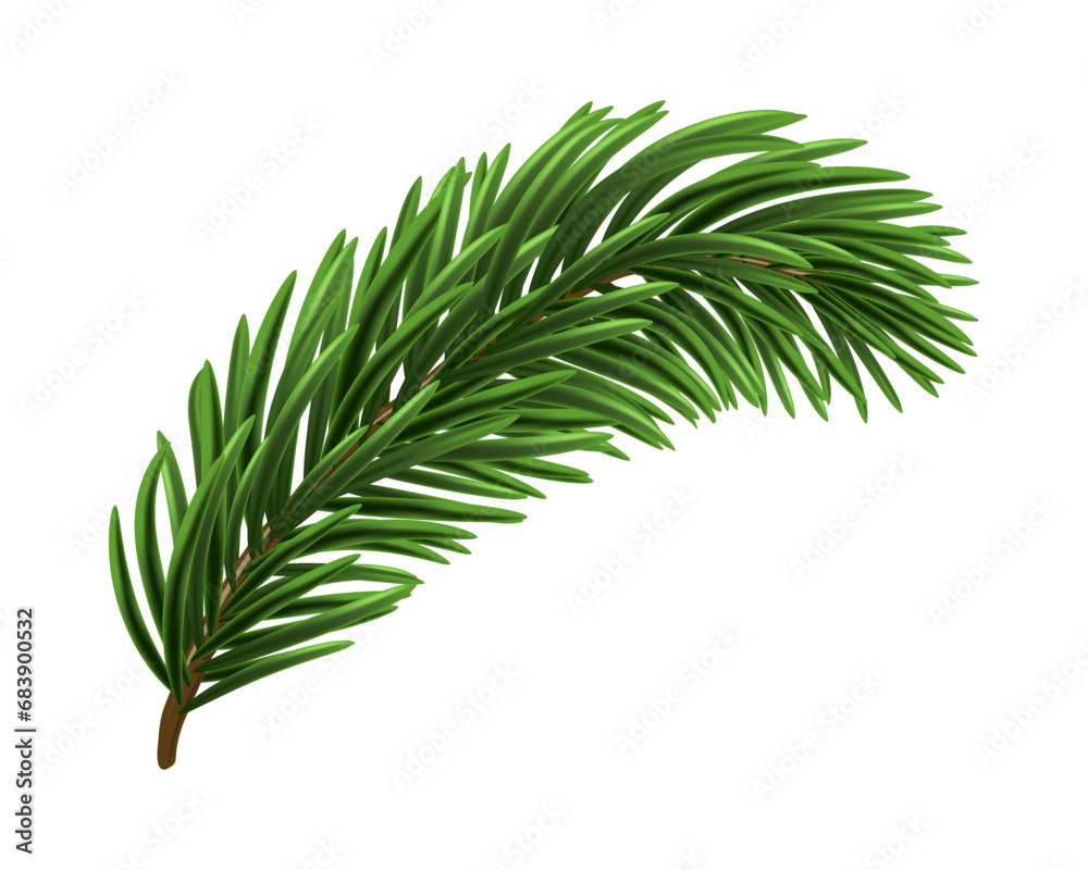 Green Christmas Fir Branch Green Christmas Fir Branch
