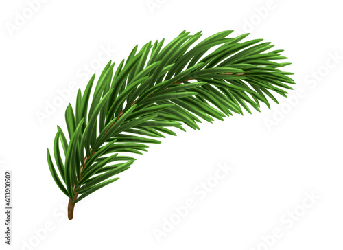 Green Christmas Fir Branch