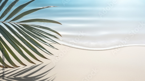 Palm tree on tropical beach with ocean waves.