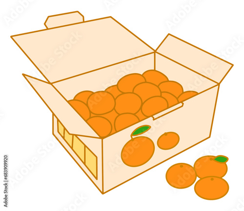 ミカン箱・段ボールに入ったみかん