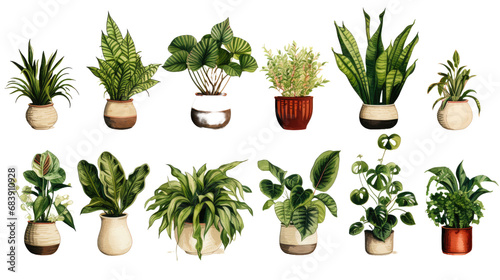 Collection of various houseplants displayed in ceramic pot isolated on transparent background