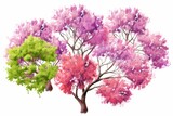 watercolor of blooming tree top view isolated on white background for landscape plan and architecture drawing, elements for environment, botanical elements ,blooming flowers in spring, Generative AI