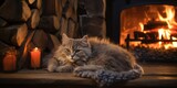 Hygge comforting atmosphere creating by fireplace warmth cozy vibes and a content pet