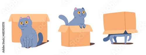 Cute cat pet playing with box set. Funny kitten animal having fun sitting near cardboard box, walking under, peeping out of it. Playful purebred domestic mammal character flat vector illustration