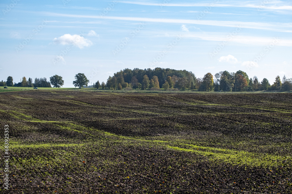 agricultural field, plowed field, black soil, green grass, Latvia landscape