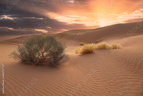 Sand dunes in desert areas, sand formations, golden sands in the desert, desert terrain, desert areas, beauty of desert nature