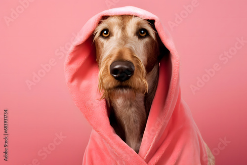 Glamorous fashionable dog in a pink robe. Neural network AI generated art photo