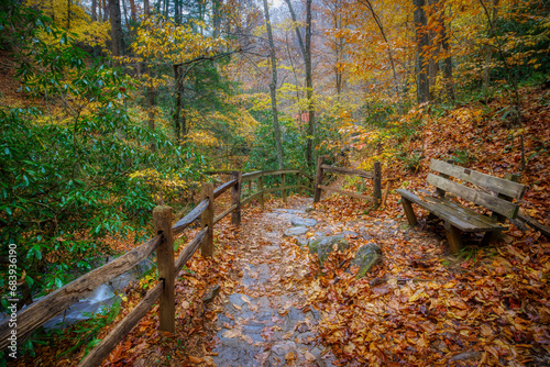 A colorful landscape of a stone forest path with Autumn leaves and a park bench in North Carolina USA.