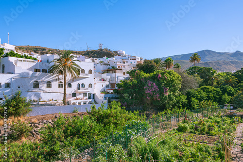 Small Vegetable Garden In Agaete