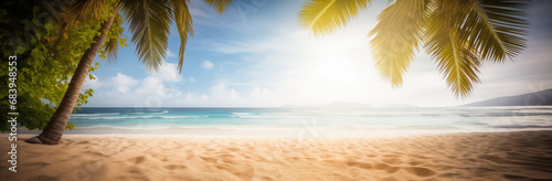 Tropical beach with palm trees and sand panoramic banner