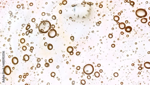 Wallpaper Mural Transparent cosmetic gel fluid with molecule bubbles oil distribution. Bubble cluster, cells under a microscope. Macro Shot of Natural Organic Cosmetics, Medicine. Production Close-up. Slow Motion. 4k Torontodigital.ca